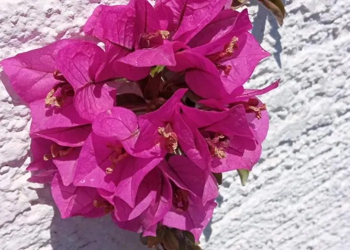 Prekrasan Sa Kaminom Appartement *